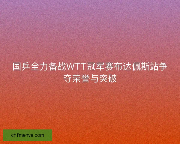 国乒全力备战WTT冠军赛布达佩斯站争夺荣誉与突破