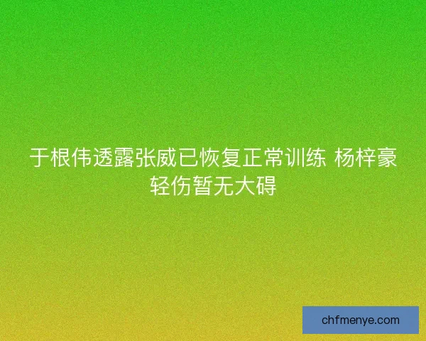 于根伟透露张威已恢复正常训练 杨梓豪轻伤暂无大碍