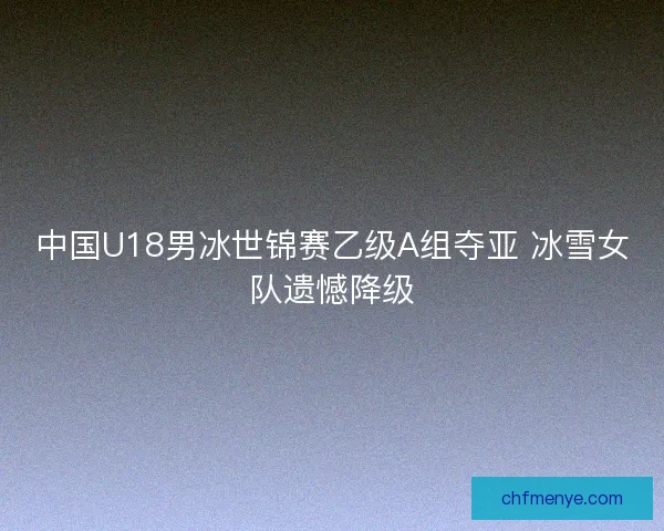 中国U18男冰世锦赛乙级A组夺亚 冰雪女队遗憾降级